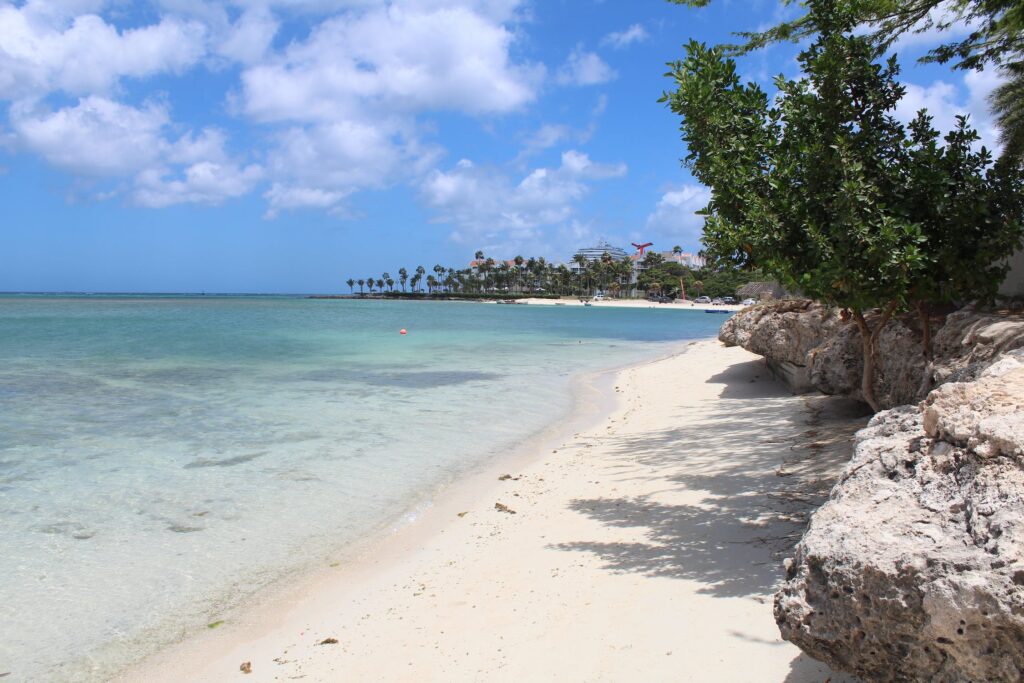 ACCIONA Energía trabajará con las energéticas estatales en la isla de Aruba para desarrollar, construir y operar una planta de hidrógeno verde alimentada por un proyecto de autoconsumo renovable.