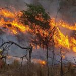 fenómenos climáticos